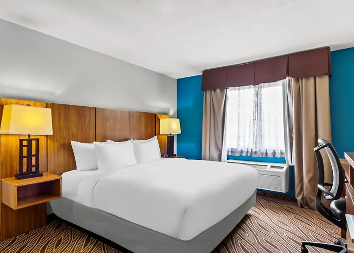 Quality Inn & Suites Airport North - Stone Oak